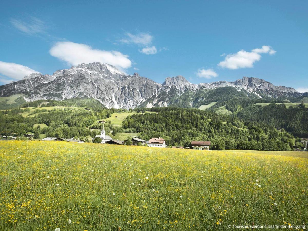Apartment Kitzsteinhorn By Interhome Saalfelden Esterno foto